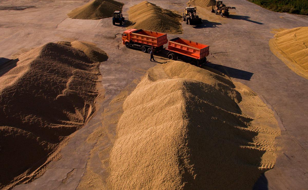 Bild узнала о подготовке Россией, Турцией и Катаром новой зерновой сделки