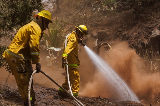 На Гавайях количество погибших в лесных пожарах достигло 114 человек