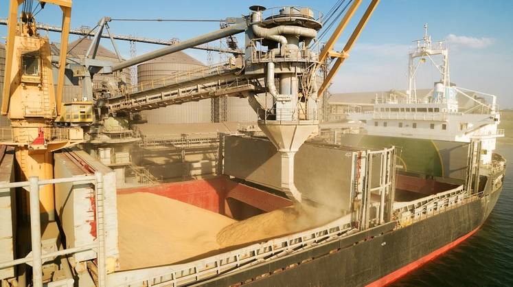 Россия впервые вошла в топ-5 поставщиков зерна в Бразилию