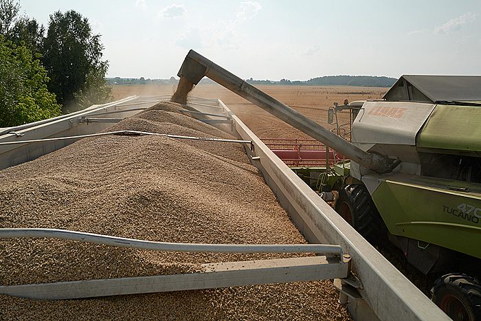 G20 призвала добиться вывоза зерна и удобрений из РФ и с Украины без ограничений