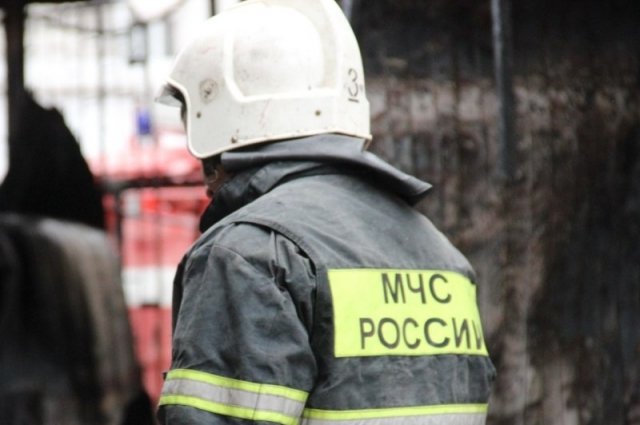 Крупный пожар на площади 4,5 тыс. квадратных метров потушили в Макеевке