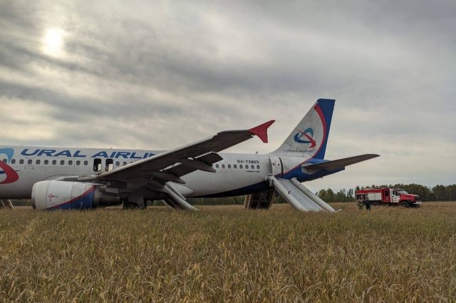 Стала известна причина посадки самолета Сочи — Омск в Новосибирской области