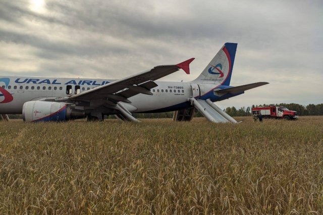 Летчик-испытатель оценил работу экипажа севшего в поле Airbus A320