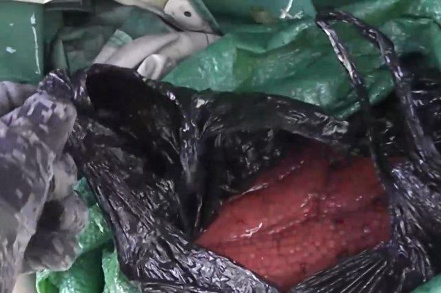 На Камчатке полицейские изъяли более 60 кг незаконно добытой красной икры