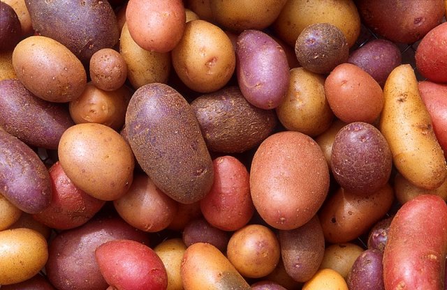 Два жителя Владивостока умерли от испарений гниющего картофеля