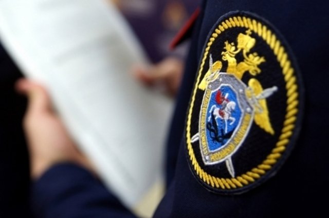 В Петербурге задержаны еще четыре фигуранта дела о нападении на прохожих