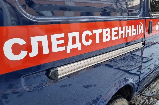 СК РФ просит арестовать фигурантов дела об убийстве подростка в Иркутске