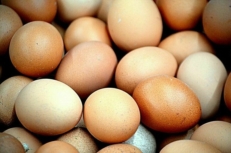 Яйца в России за неделю подорожали в среднем на 4,2%