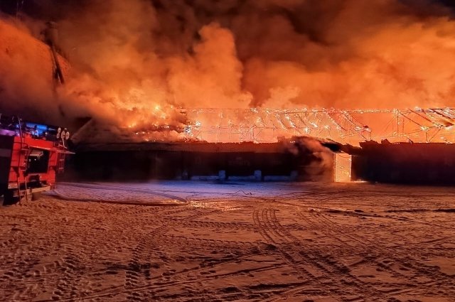 В Оренбургской области произошел крупный пожар в зернохранилище