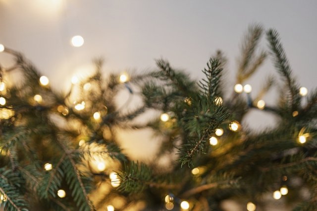 112: жительницу Москвы обманули при покупке елки и новогодних украшений