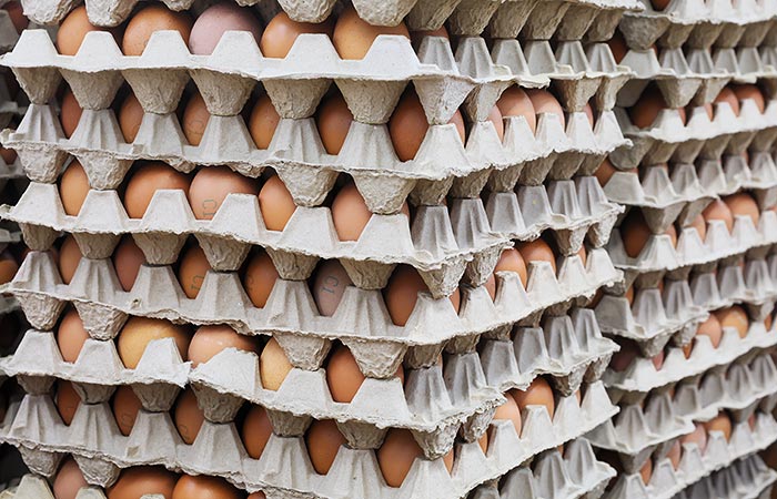 Путин объяснил рост цен на яйца и куриное мясо сбоем в работе правительства