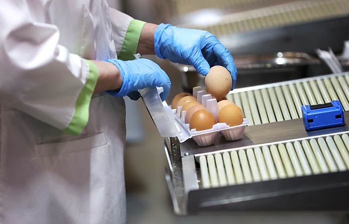 Прокуратура объявила предостережение четырем производителям яиц в Удмуртии