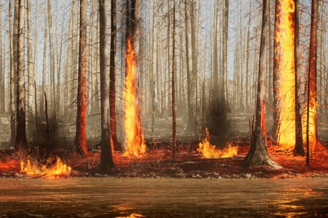 Жителя Иркутской области обяжут выплатить 1,5 млн рублей за лесной пожар