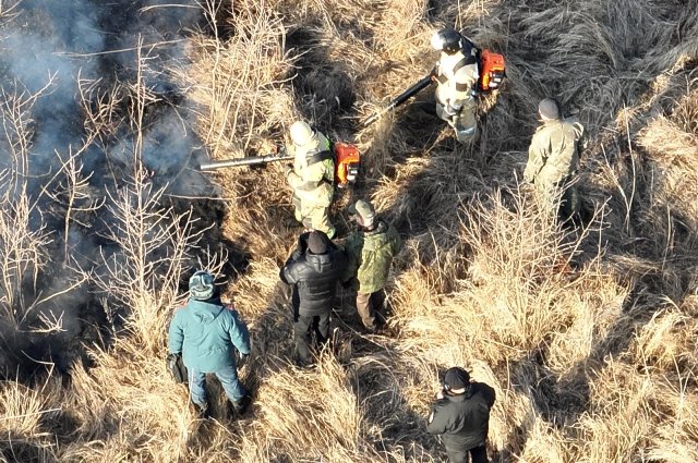 Площадь природных пожаров в Приморье увеличилась до 4,9 тыс. гектаров