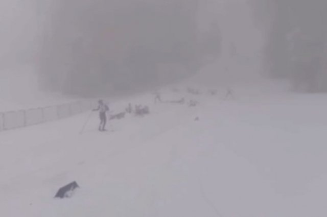 Вяльбе: при массовом завале на гонке в Сочи серьезно пострадали 3 лыжницы