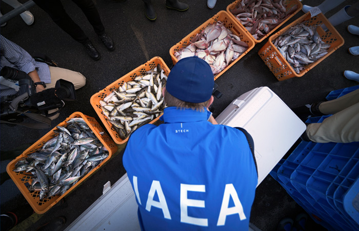 В МАГАТЭ раскритиковали запрет на рыбу из Японии из-за сброса воды с "Фукусимы"