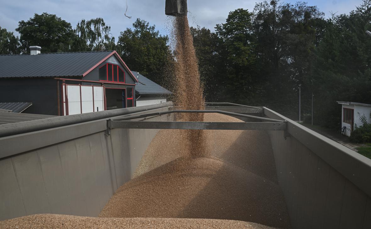 RMF узнало о готовности ЕК ограничить импорт зерна из России и Белоруссии