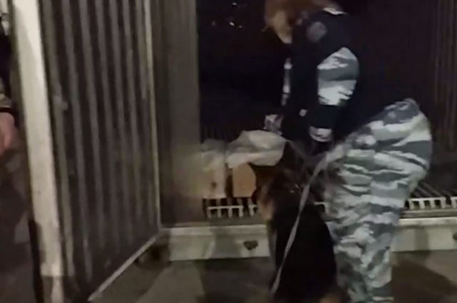 В Калининградской области изъяли 76 кг кокаина в коробках с бананами
