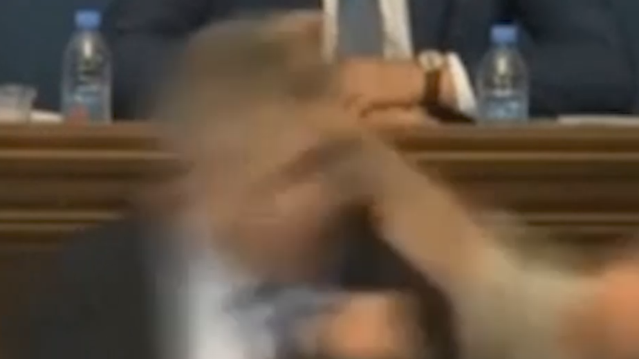 В парламенте Грузии подрались на заседании по закону об иноагентах. Видео
