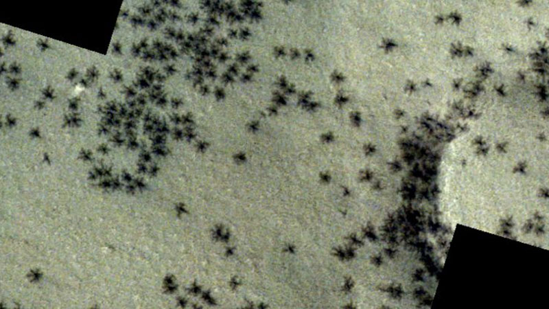 ESA опубликовало снимки Марса с «жуткими пауками в городе инков»