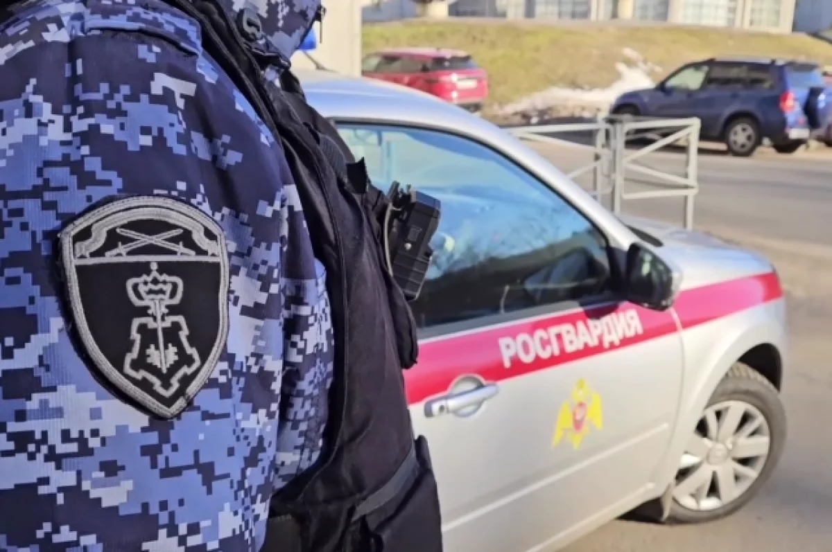 Сотрудники Росгвардии изъяли 2,5 кг пороха и боеприпасы у жителя ЛНР