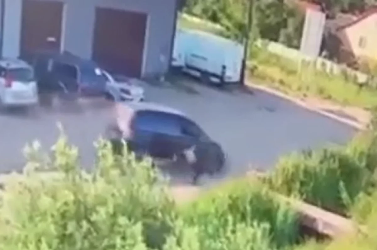 На Украине автомобиль военкомата сбил мужчину, пытавшегося сбежать