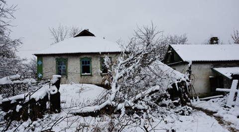 ЛНР: украинские силовики занимают дома мирных жителей в Донбассе