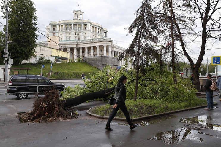 Операторы заявляют, что оповещали по просьбе МЧС своих московских абонентов об урагане