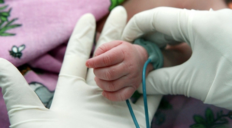 После смерти 11 младенцев в брянском перинатальном центре возбуждено дело