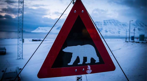 "Роснефть" открыла первое месторождение нефти на шельфе Восточной Арктики