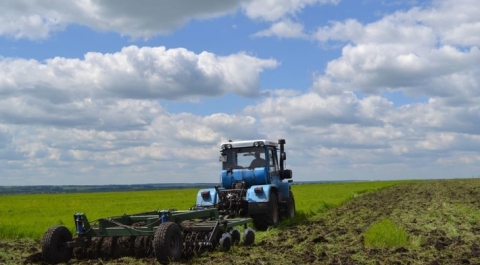 В Пензенской области введено в сельхозоборот 33 тыс. гектаров неиспользуемой пашни