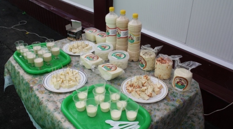В Пензенской области открыт цех по производству сыров и кисломолочной продукции