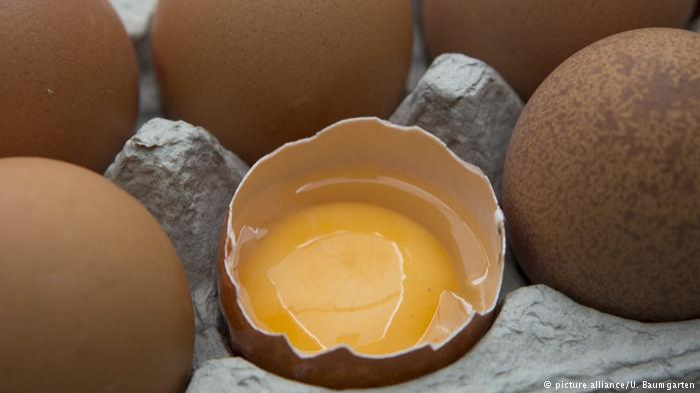 Зараженные фипронилом яйца обнаружены еще в двух странах ЕС