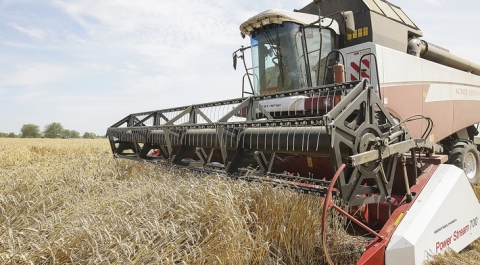В Ростовской области установлен всероссийский рекорд по урожаю ранних зерновых