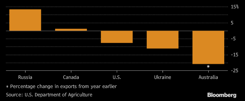 Россия укрепляет свои позиции мирового экспортера пшеницы