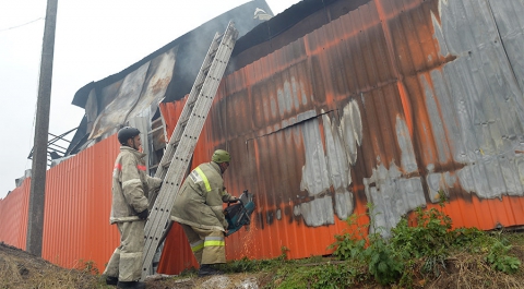 Названа причина пожара на вещевом рынке в Ростове-на-Дону