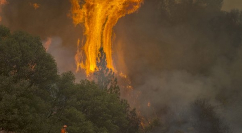 Пожар в Калифорнии стал причиной гибели 70-летней женщины