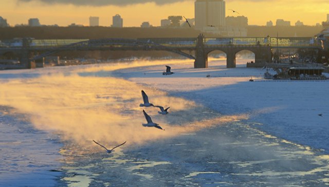 Сотрудники МЧС спасли трех человек, провалившихся под лед на Москва-реке