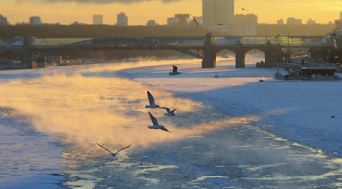 Сотрудники МЧС спасли трех человек, провалившихся под лед на Москва-реке