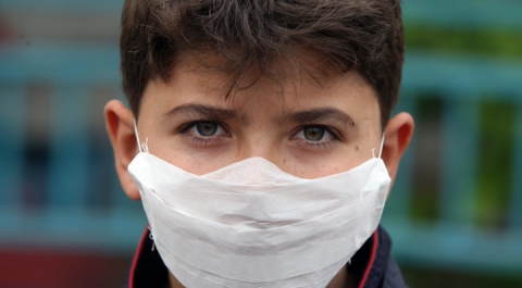 Шесть смертельных случаев: В Грузии распространяется вирус свиного гриппа