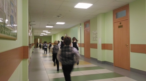 Почти 700 школьников эвакуировали в Петербурге за сутки