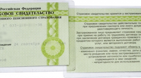В России отменили карточки СНИЛС - теперь будет присваиваться только номер