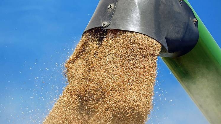 «Мне одному это кажется странным?»: Дерипаска прокомментировал поставки зерна в Африку