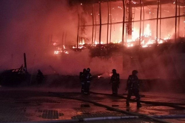 В сгоревшем ТЦ в Петербурге погибли животные из зоомагазина