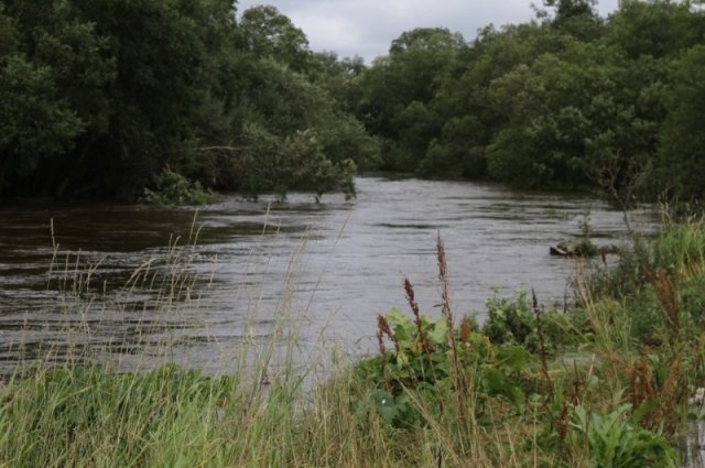 На Камчатке нашли тело пропавшего на реке Паужетка мужчины