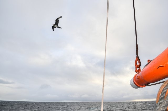 У архипелага Новая Земля пропал матрос, выпавший за борт судна