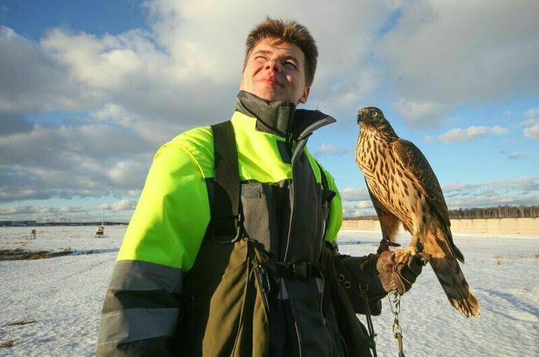 День орнитолога в России отмечается 19 февраля