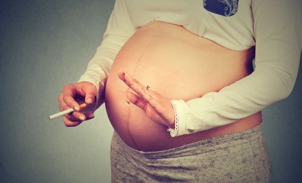 В Ленобласти предложили штрафовать курящих и пьющих алкоголь беременных женщин