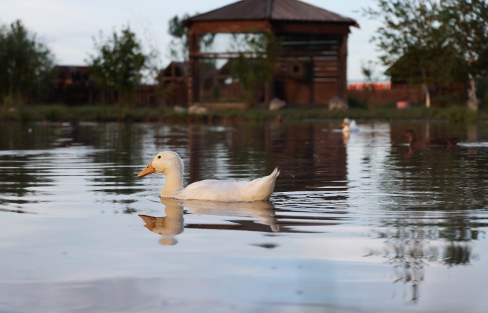 Вода ушла из более чем 350 домов в Приморье в зоне паводка