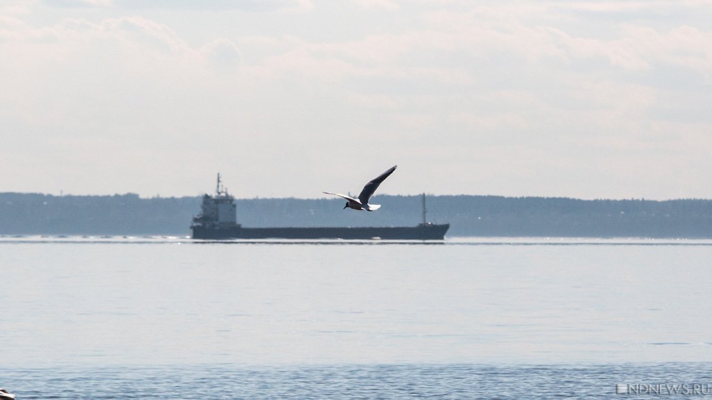 Украина остановила работу своего «зернового коридора» в Черном море